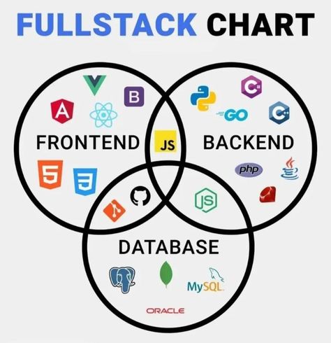 How Full-Stack Developers Handle Databases